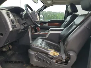 2009 Ford F-150 XL with VIN 1FTPW14VX9KC62991, listed as a Copart auction lot 53852875 with Not Provided miles and Salvage Title. Bid and sale history available at DreamBid. Image 7.