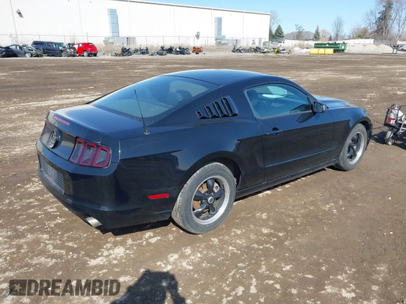 2013 Ford Mustang V6 with VIN 1ZVBP8AM3D5235860, listed as a IAAI auction lot 41778077 with 163,671 mi miles and . Bid and sale history available at DreamBid. Image 4.