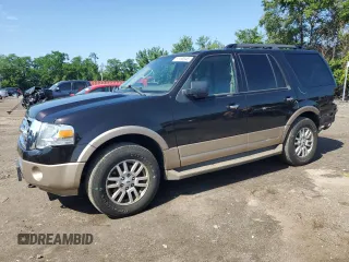 2013 Ford Expedition XLT with VIN 1FMJU1J54DEF66384, listed as a Copart auction lot 61155345 with 131,747 mi miles and Salvage title. Bid and sale history available at DreamBid. Image 1.