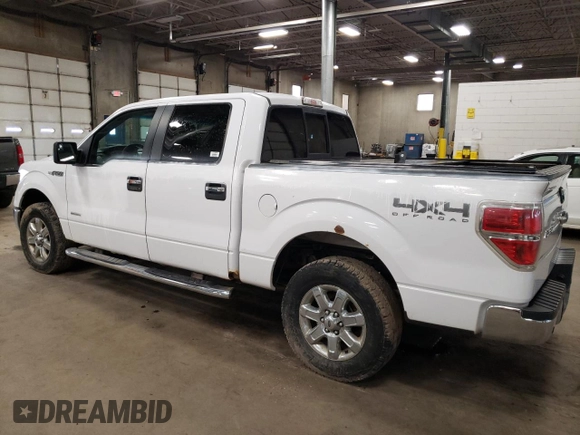 2014 Ford F-150 XL with VIN 1FTFW1ET6EKF95577, listed as a Copart auction lot 51749905 with 266,361 mi miles and Clean Title. Bid and sale history available at carsss.com. Image 2.
