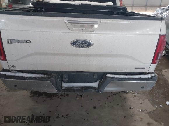 2016 Ford F-150 XLT with VIN 1FTEW1EF9GFA19385, listed as a IAAI auction lot 41583637 with 162,341 mi miles. Bid and sale history available at carsss.com. Image 16.