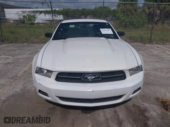 2012 Ford Mustang Premium z VIN 1ZVBP8AMXC5271916, wystawiony jako IAAI lot #42187185 z przebiegiem 103 379 mil mil oraz . Historia ofert i sprzedaży dostępna na DreamBid. Obrazek 12.
