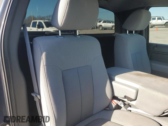 2013 Ford F-150 XL with VIN 1FTMF1CM9DKD34252, listed as a Copart auction lot 49175385 with 215,746 mi miles and Salvage Title. Bid and sale history available at carsss.com. Image 10.