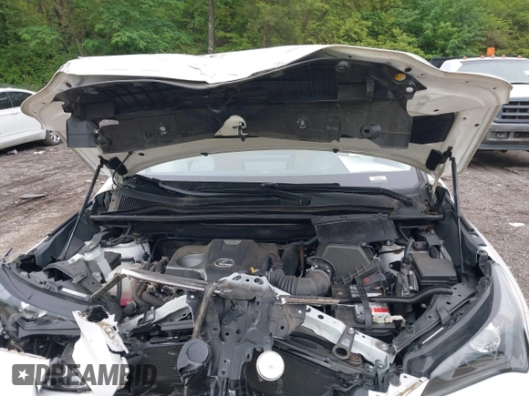 2021 Lexus NX 300 z VIN JTJDARBZ6M5035226, wystawiony jako IAAI lot #42243101 z przebiegiem 18 229 mil mil oraz . Historia ofert i sprzedaży dostępna na DreamBid. Obrazek 10.