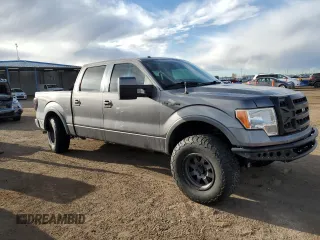 2010 Ford F-150 XL with VIN 1FTFW1EV6AFA03440, listed as a Copart auction lot 54847325 with 176,807 mi miles and Salvage Title. Bid and sale history available at DreamBid. Image 4.