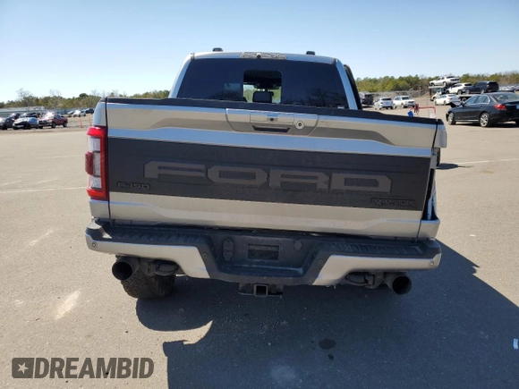 2023 Ford F-150 Raptor with VIN 1FTFW1RG7PFA65014, listed as a Copart auction lot 53156795 with 62,648 mi miles and Salvage Title. Bid and sale history available at DreamBid. Image 6.