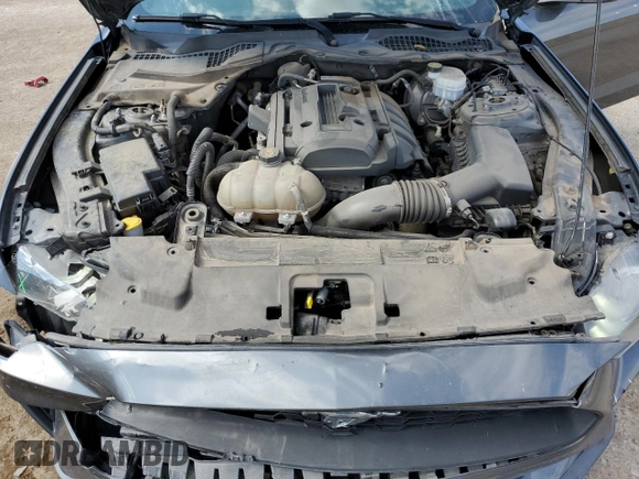 2019 Ford Mustang EcoBoost z VIN 1FA6P8TH9K5178295, wystawiony jako Copart lot #62663725 z przebiegiem 81 814 mil mil oraz Szkoda całkowita • Salvage title. Historia ofert i sprzedaży dostępna na DreamBid. Obrazek 11.
