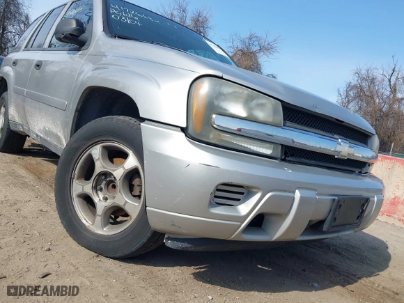 2008 Chevrolet TrailBlazer LT w/1LT with VIN 1GNDS13S882228009, listed as a IAAI auction lot 41726682 with 133,739 mi miles. Bid and sale history available at carsss.com. Image 6.