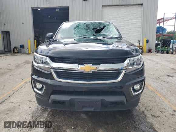 2019 Chevrolet Colorado 4WD LT with VIN 1GCGTCENXK1134524, listed as a Copart auction lot 60968805 with 118,049 mi miles and Salvage title. Bid and sale history available at DreamBid. Image 5.