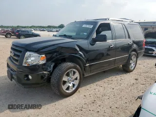 2010 Ford Expedition Limited with VIN 1FMJU1K55AEA00955, listed as a Copart auction lot 57527045 with 313,452 mi miles and Salvage title. Bid and sale history available at DreamBid. Image 1.