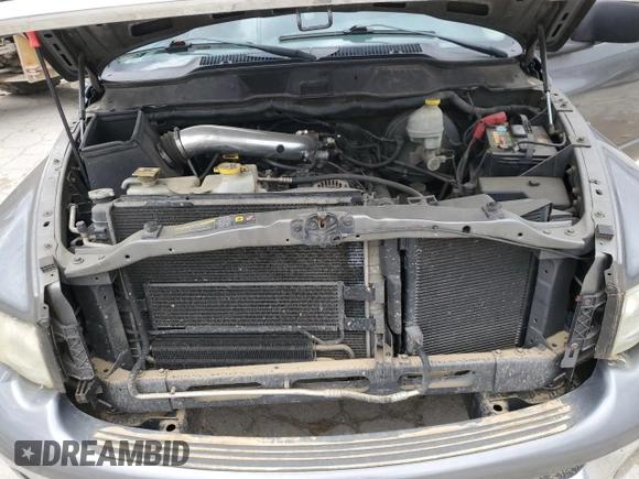 2005 Dodge 1500 SLT with VIN 1D7HA16N85J519734, listed as a Copart auction lot 46169615 with Not Provided miles and Salvage Title. Bid and sale history available at carsss.com. Image 12.