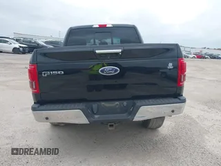 2016 Ford F-150 XLT with VIN 1FTEW1EG3GKD51340, listed as a IAAI auction lot 41689959 with 166,725 mi miles. Bid and sale history available at carsss.com. Image 16.