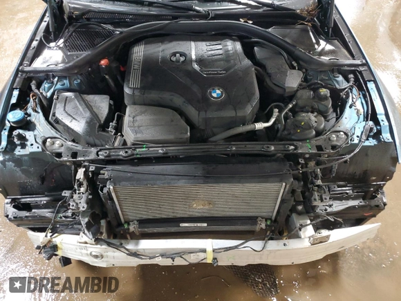 2019 BMW 3 Series 330i with VIN WBA5R1C51KFH14244, listed as a Copart auction lot 52199945 with 45,365 mi miles and Salvage title. Bid and sale history available at DreamBid. Image 11.