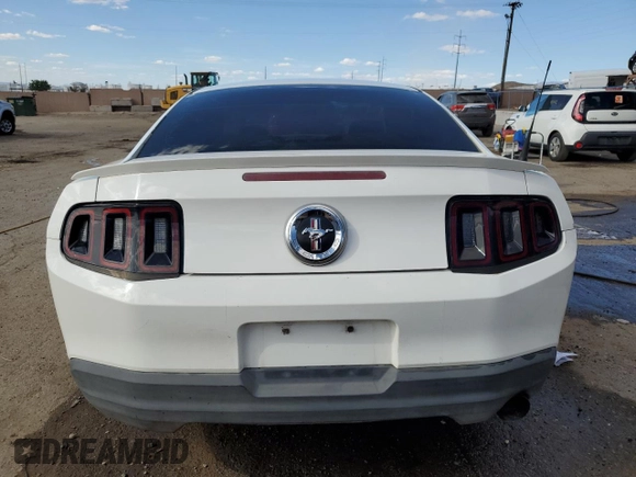 2010 Ford Mustang V6 with VIN 1ZVBP8AN8A5125021, listed as a Copart auction lot 55062725 with 163,880 mi miles and Salvage title. Bid and sale history available at DreamBid. Image 6.