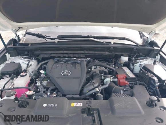 2024 Lexus NX 350 Premium z VIN JTJGGCEZ5R5008594, wystawiony jako IAAI lot #41643849 z przebiegiem 13 519 mil mil oraz . Historia ofert i sprzedaży dostępna na DreamBid. Obrazek 10.
