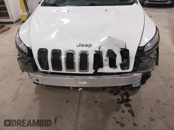 2017 Jeep Cherokee Limited with VIN 1C4PJMDS4HW505613, listed as a IAAI auction lot 41257420 with 91,967 mi miles and . Bid and sale history available at DreamBid. Image 6.
