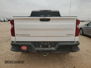 2020 Chevrolet Silverado 1500 Work Truck with VIN 3GCUYAEFXLG114195, listed as a Copart auction lot 46039775 with Not Provided miles and Salvage Title. Bid and sale history available at DreamBid. Image 6.