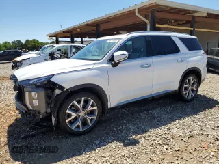 2020 Hyundai Palisade SEL with VIN KM8R34HE4LU110211, listed as a Copart auction lot 58011805 with 64,216 mi miles and Salvage title. Bid and sale history available at DreamBid. Image 1.