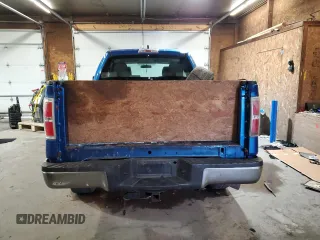 2010 Ford F-150 XL with VIN 1FTEX1E88AFD02818, listed as a Copart auction lot 64390285 with Not provided miles and Clean title. Bid and sale history available at DreamBid. Image 6.