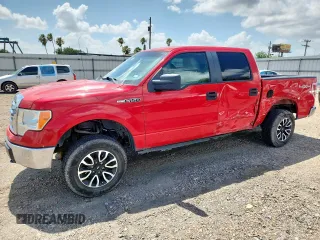 2009 Ford F-150 XL with VIN 1FTPW14V39KC73007, listed as a Copart auction lot 61447595 with 185,983 mi miles and Salvage title. Bid and sale history available at DreamBid. Image 1.