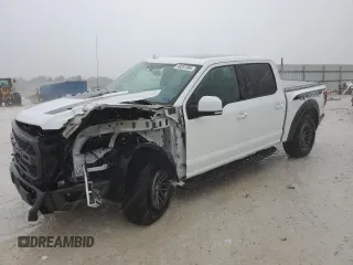 2019 Ford F-150 Raptor with VIN 1FTFW1RG0KFC64432, listed as a Copart auction lot 48307085 with 51,780 mi miles and Salvage Title. Bid and sale history available at carsss.com. Image 1.