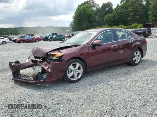 2009 Acura TSX with VIN JH4CU26699C011226, listed as a Copart auction lot 61022275 with 50,214 mi miles and Salvage title. Bid and sale history available at DreamBid. Image 1.
