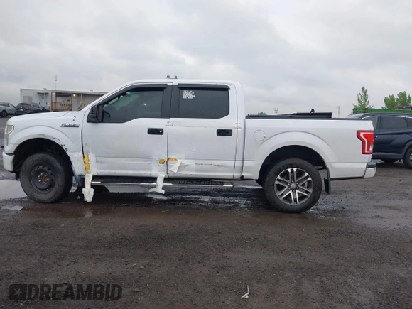 2016 Ford F-150 XLT z VIN 1FTEW1EF7GKF94575, wystawiony jako IAAI lot #42209727 z przebiegiem 307 854 mil mil oraz . Historia ofert i sprzedaży dostępna na DreamBid. Obrazek 14.