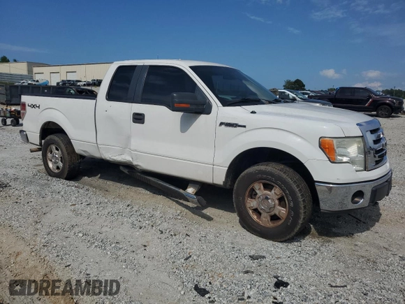 2010 Ford F-150 XL with VIN 1FTEX1E89AFB10260, listed as a Copart auction lot 57491885 with 185,044 mi miles and Salvage title. Bid and sale history available at DreamBid. Image 4.