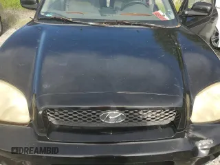 2003 Hyundai Santa Fe GLS with VIN KM8SC13D53U382460, listed as a Copart auction lot 70257874 with 0 mi miles and Salvage Title. Bid and sale history available at carsss.com. Image 11.