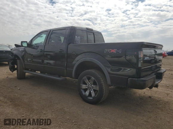 2011 Ford F-150 XL with VIN 1FTFW1EF5BKD29344, listed as a Copart auction lot 50380205 with 117,289 mi miles and Salvage Title. Bid and sale history available at DreamBid. Image 2.