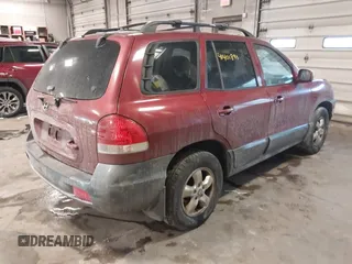 2005 Hyundai Santa Fe GLS with VIN KM8SC73EX5U935778, listed as a IAAI auction lot 41401893 with 248,365 mi miles. Bid and sale history available at carsss.com. Image 4.
