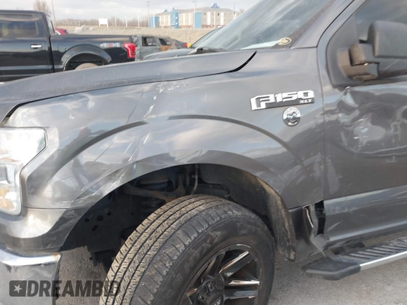 2015 Ford F-150 XLT with VIN 1FTEW1EFXFFA07342, listed as a IAAI auction lot 41748383 with 162,218 mi miles. Bid and sale history available at carsss.com. Image 18.