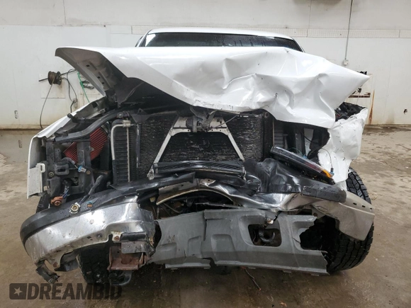 2005 Chevrolet Silverado 1500 with VIN 1GCEK19V55E207854, listed as a Copart auction lot 45152015 with 283,106 mi miles and Clean Title. Bid and sale history available at DreamBid. Image 5.