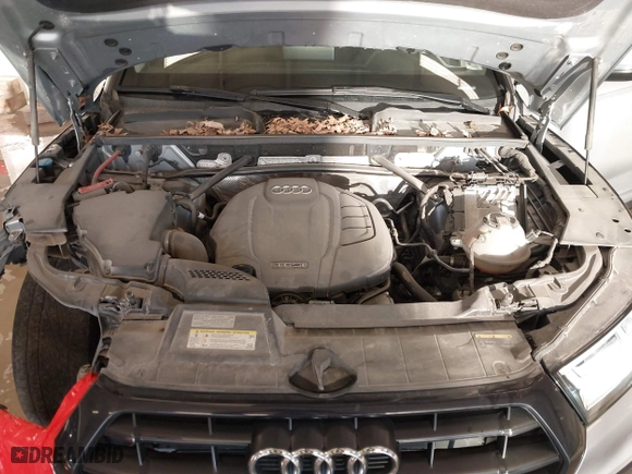 2019 Audi Q5 Premium Plus with VIN WA1BNAFY8K2034380, listed as a IAAI auction lot 41697243 with 80,377 mi miles. Bid and sale history available at carsss.com. Image 10.