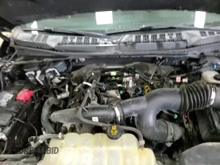 2019 Ford F-150 XL with VIN 1FTEW1EPXKFC31343, listed as a Copart auction lot 67032455 with 101,185 mi miles and Clean title. Bid and sale history available at DreamBid. Image 16.