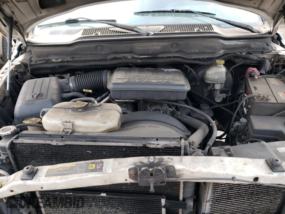 2004 Dodge 1500 ST with VIN 1D7HA16K94J141041, listed as a Copart auction lot 81881764 with Not Provided miles and Clean Title. Bid and sale history available at DreamBid. Image 11.