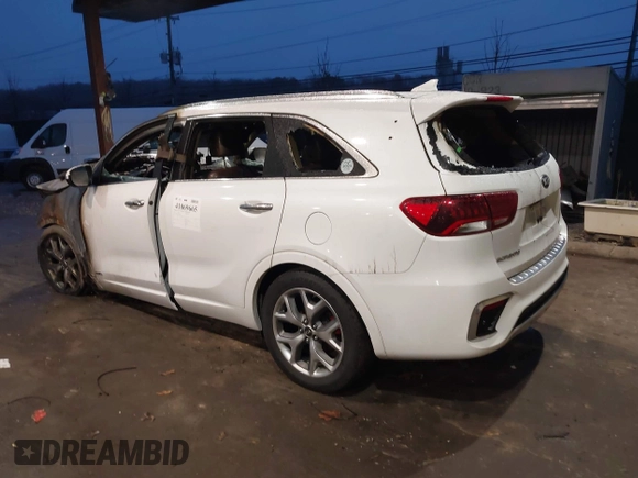 2019 Kia Sorento SX V6 with VIN 5XYPKDA59KG446249, listed as a IAAI auction lot 41069665 with 111,359 mi miles. Bid and sale history available at carsss.com. Image 3.