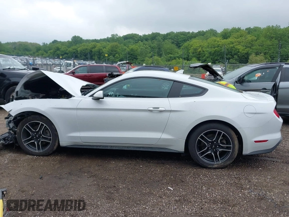 2023 Ford Mustang EcoBoost z VIN 1FA6P8TH4P5102314, wystawiony jako IAAI lot #42424637 z przebiegiem 48 353 mil mil oraz . Historia ofert i sprzedaży dostępna na DreamBid. Obrazek 15.