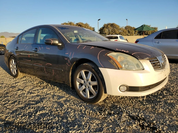 2006 Nissan Maxima 3.5 SE with VIN 1N4BA41EX6C806559, listed as a Copart auction lot 80998724 with 183,273 mi miles and Salvage Title. Bid and sale history available at carsss.com. Image 4.