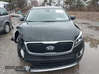 2017 Kia Sorento EX with VIN 5XYPHDA59HG231011, listed as a IAAI auction lot 41218507 with 149,190 mi miles and . Bid and sale history available at DreamBid. Image 12.