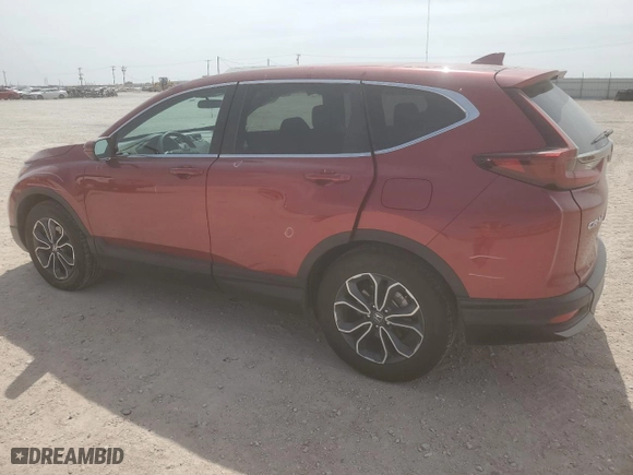 2022 Honda CR-V EX with VIN 5J6RW1H54NA004608, listed as a Copart auction lot 50565115 with 19,564 mi miles and Salvage Title. Bid and sale history available at carsss.com. Image 2.