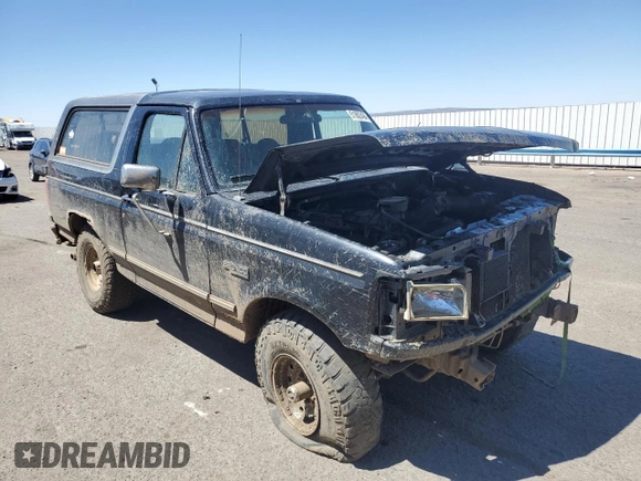 1996 Ford Bronco Custom with VIN 1FMEU15H6TLB18163, listed as a Copart auction lot 51802494 with 151,134 mi miles and Salvage Title. Bid and sale history available at DreamBid. Image 4.