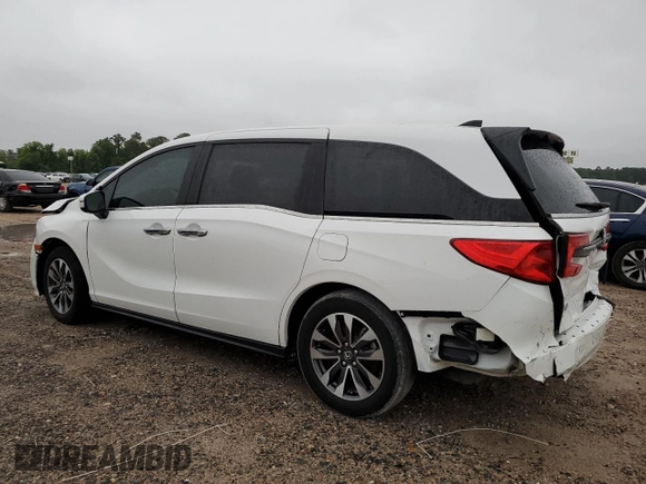 2024 Honda Odyssey EX-L with VIN 5FNRL6H66RB069509, listed as a Copart auction lot 56155715 with 3,341 mi miles and Salvage Title. Bid and sale history available at DreamBid. Image 2.