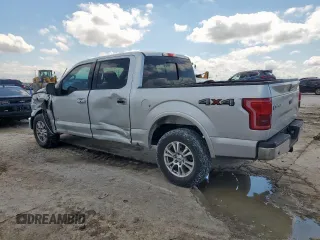 2017 Ford F-150 XL with VIN 1FTEW1EG1HKE48733, listed as a Copart auction lot 61860995 with 180,898 mi miles and Salvage title. Bid and sale history available at DreamBid. Image 2.