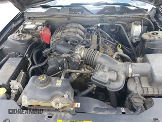 2011 Ford Mustang V6 with VIN 1ZVBP8AM5B5149026, listed as a IAAI auction lot 42551126 with 230,429 mi miles and . Bid and sale history available at DreamBid. Image 10.