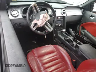 2006 Ford Mustang GT Deluxe with VIN 1ZVHT85H965218583, listed as a Copart auction lot 47799365 with Not Provided miles and Salvage Title. Bid and sale history available at carsss.com. Image 8.