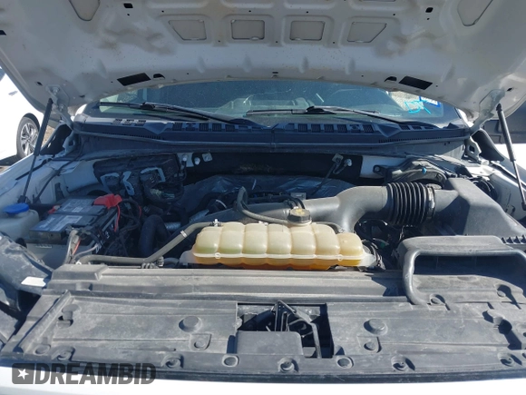 2019 Ford F-150 XL with VIN 1FTEW1EP8KKE13811, listed as a IAAI auction lot 41769452 with 133,146 mi miles and . Bid and sale history available at DreamBid. Image 10.