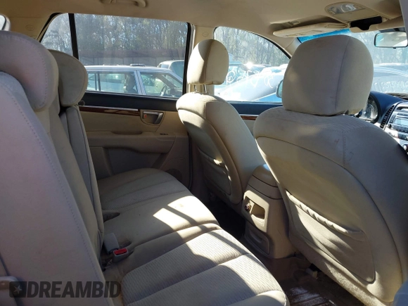 2007 Hyundai Santa Fe GLS with VIN 5NMSG13D67H109033, listed as a IAAI auction lot 40796778 with 166,086 mi miles and . Bid and sale history available at DreamBid. Image 8.