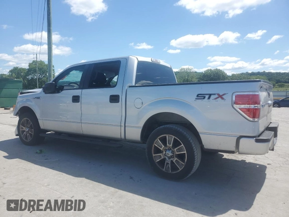 2014 Ford F-150 XL with VIN 1FTFW1CFXEKG42106, listed as a Copart auction lot 58229675 with 178,924 mi miles and Salvage title. Bid and sale history available at DreamBid. Image 2.