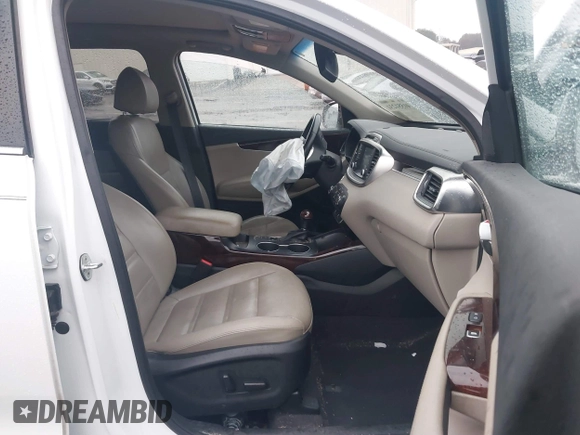 2018 Kia Sorento EX with VIN 5XYPH4A58JG421551, listed as a IAAI auction lot 41551231 with Not Provided miles and . Bid and sale history available at DreamBid. Image 5.